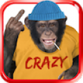 Angry Talking Monkey