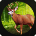 Animals Hunting