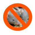 Anti Mouse Repeller