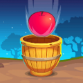 Apple Catcher