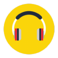 Audio Video Player
