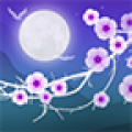 Blooming Night