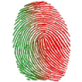 Bully Scanner