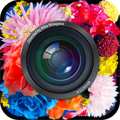 cameran
