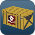 Case Simulator