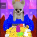 Coin Dog
