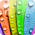 Colors Wallpapers for Chat