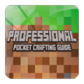 Crafting Guide Pro