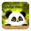 Cute Panda