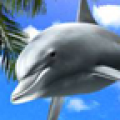 Dolphin Blue Trial