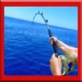 Fish Fishing !
