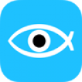 Fisheye Camera