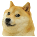 Flappy Doge