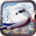Flight Simulator