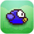Flip Bird