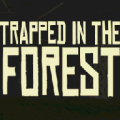 Forest FREE