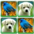 Fun With Animals