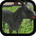 Goat Smash