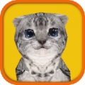 Cat Simulator