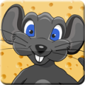 Labyrinth Mouse