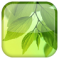 Leaf Live Wallpaper