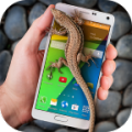 Lizard in phone