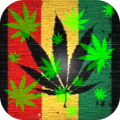 Marijuana Live Wallpaper