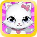 My Lovely Kitty !