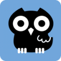 Night Owl