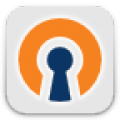 OpenVPN Settings