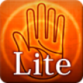 Palm Lite