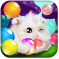 Pet Pop