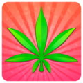 Pot Profit