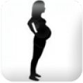 Pregnancy watcher widget