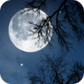 Relax Night