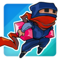 Rogue Ninja