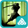 Shadow Fight Theme