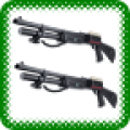 Shotgun 12