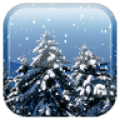 Snowfall