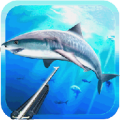 Spearfishing 3D