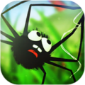 Spider Trouble