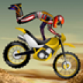 Stunt Biker