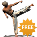 Taekwondo Forms (Sponsored)