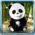 Talking Panda