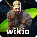 The Witcher