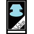Voice nightlight/flashlight