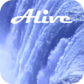 Waterfall Video Wallpapers
