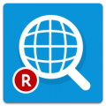 WebSearch