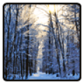 Winter Wallpaper