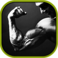 Bicep Workouts